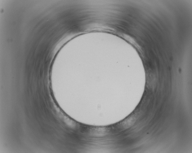 X0000062911431200602101821