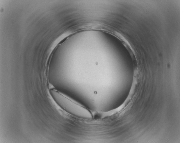 X0000062911434200602101821