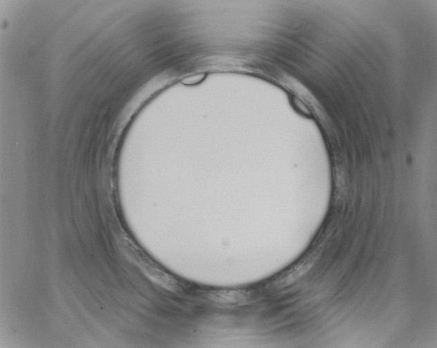 X0000062911435200602101821