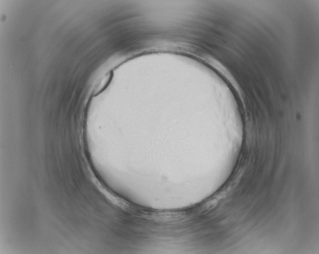 X0000062911437200602101821