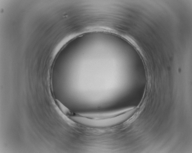 X0000062911438200602101821