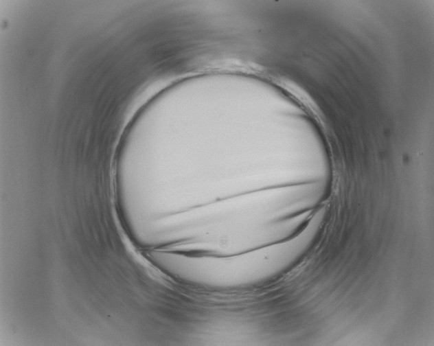 X0000062911439200602101821