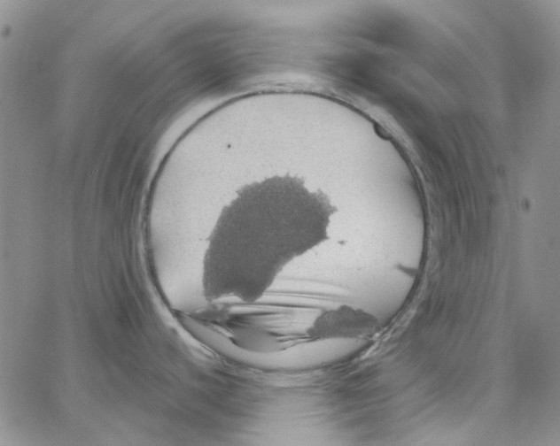 X0000062911440200602101821