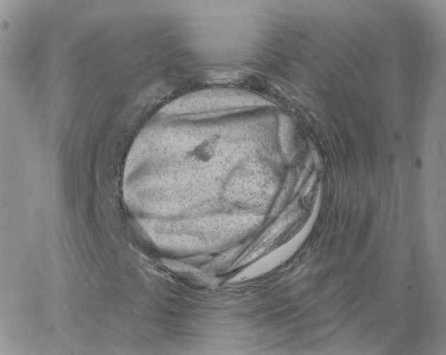 X0000062911441200602101820