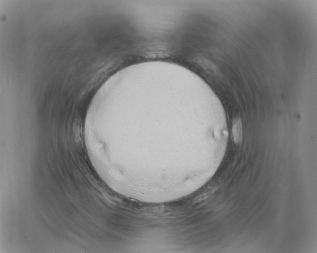 X0000062911444200602101820