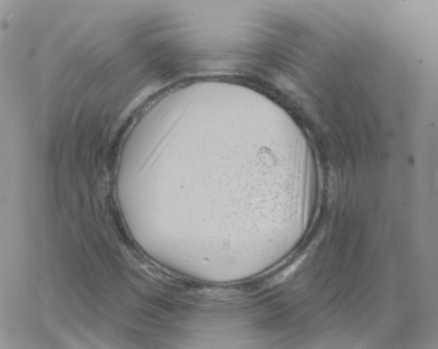 X0000062911449200602101820