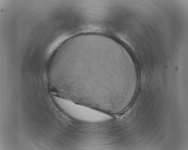 X0000062911455200602101820