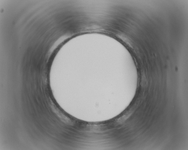 X0000062911458200602101820