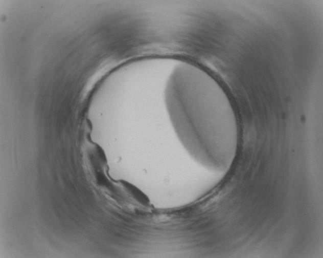 X0000062911459200602101820