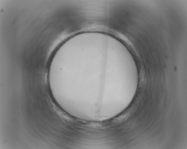 X0000062911462200602101820