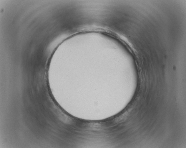 X0000062911463200602101820