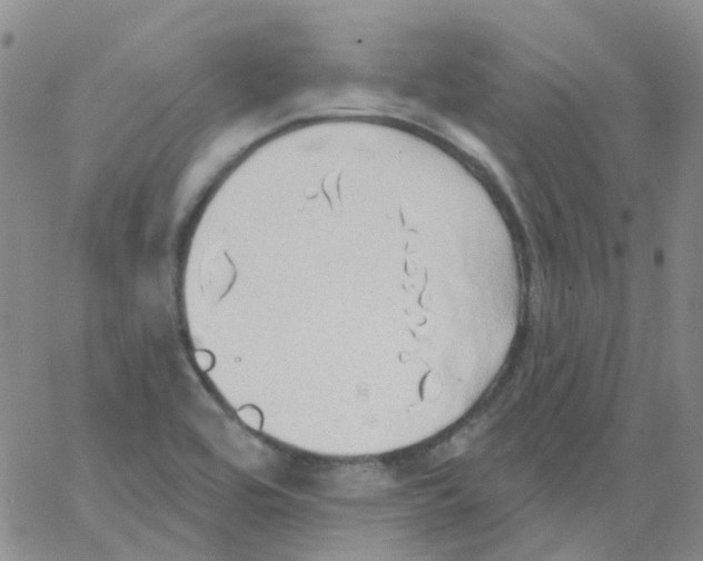 X0000062911464200602101820