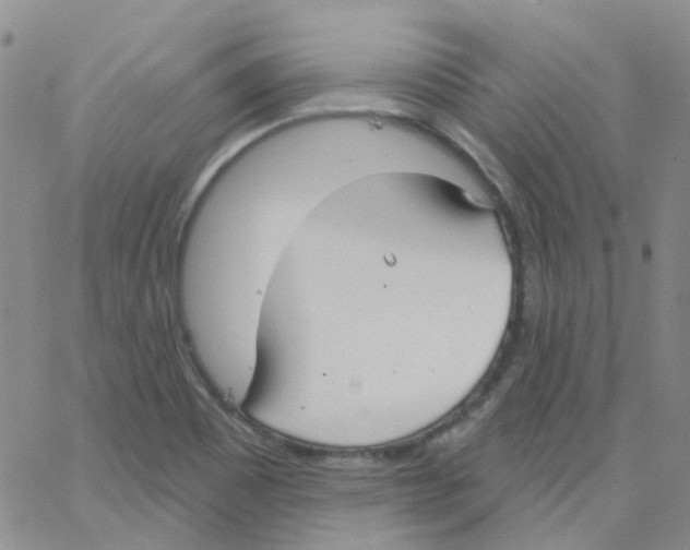 X0000062911465200602101820