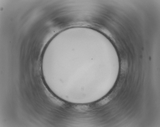 X0000062911466200602101820