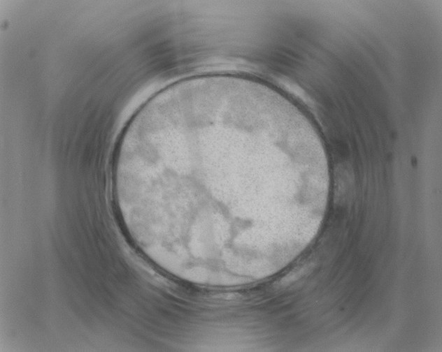 X0000062911467200602101820