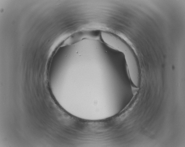 X0000062911469200602101820