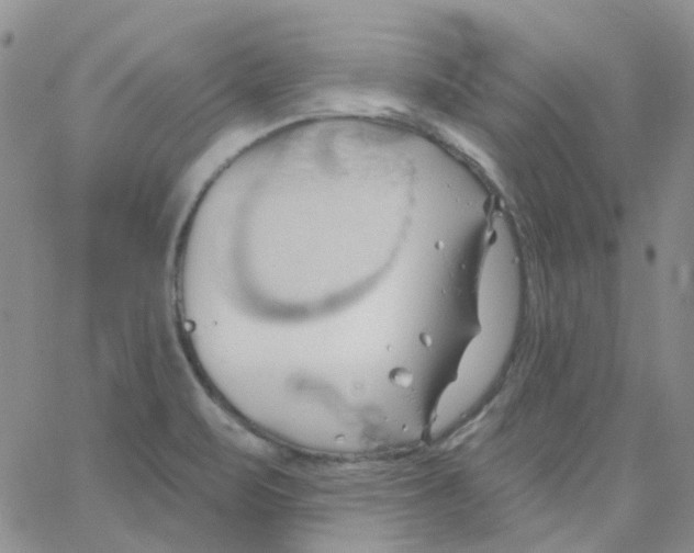 X0000062911471200602101820