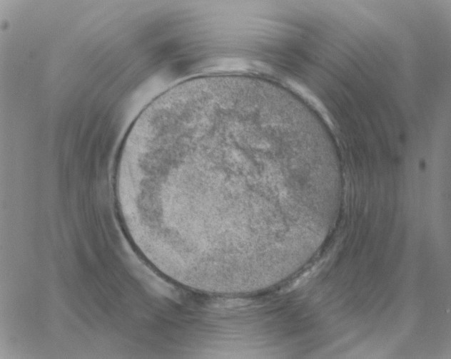 X0000062911475200602101820