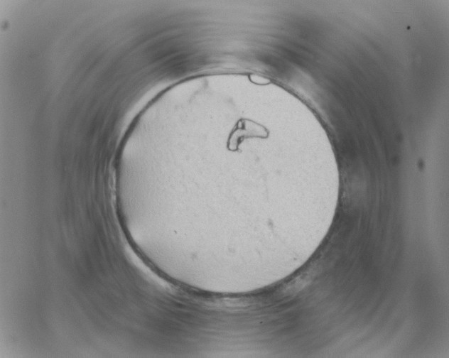 X0000062911476200602101819