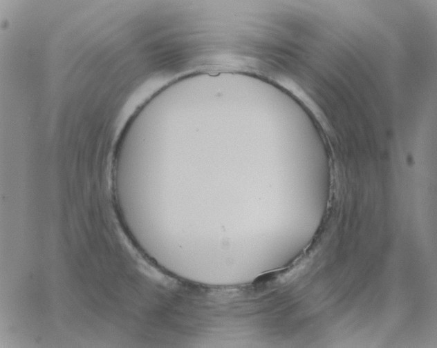 X0000062911477200602101819