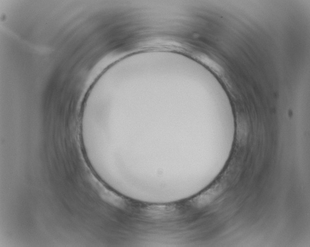 X0000062911478200602101819