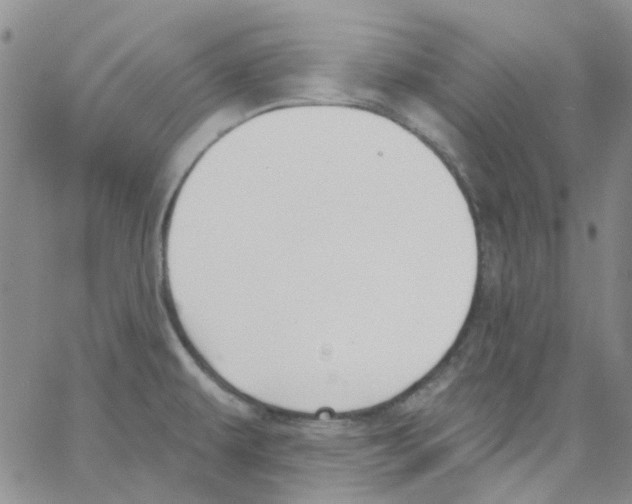 X0000062911479200602101819