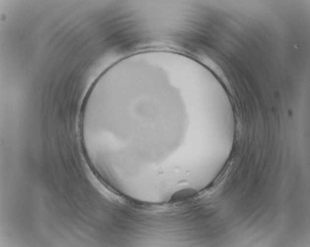 X0000062911482200602101819