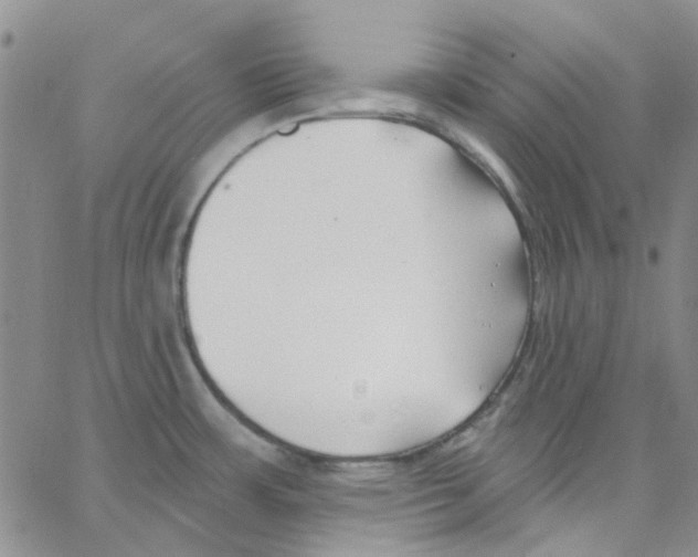 X0000062911483200602101819