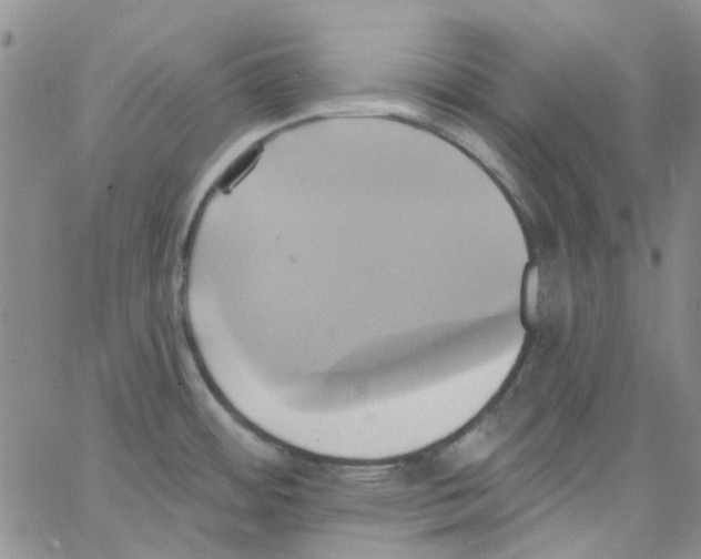 X0000062911484200602101819