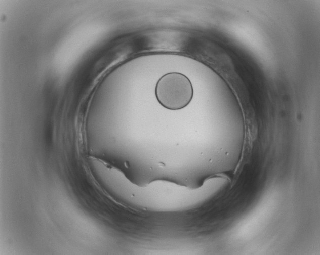 X0000062911487200602101819