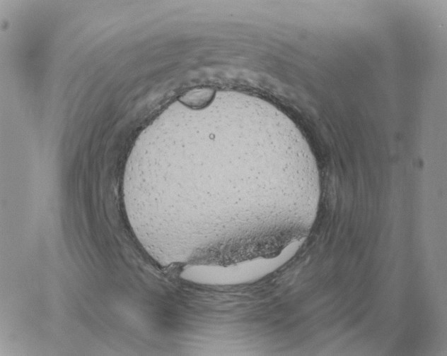 X0000062911489200602101819