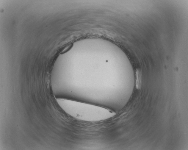 X0000062911491200602101819