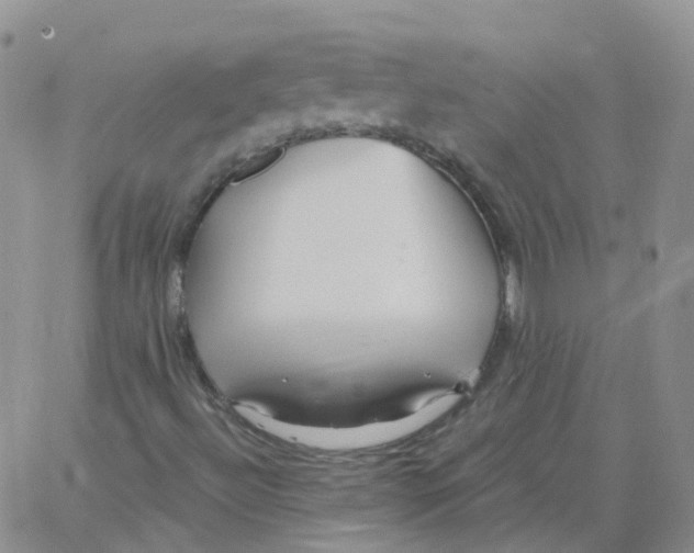 X0000062911492200602101819