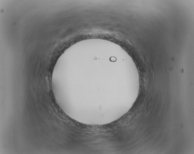 X0000062911493200602101819