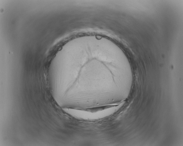 X0000062911494200602101819