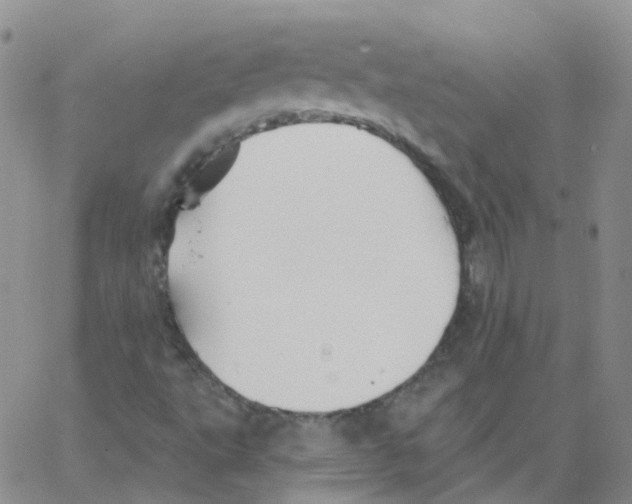 X0000062911495200602101819