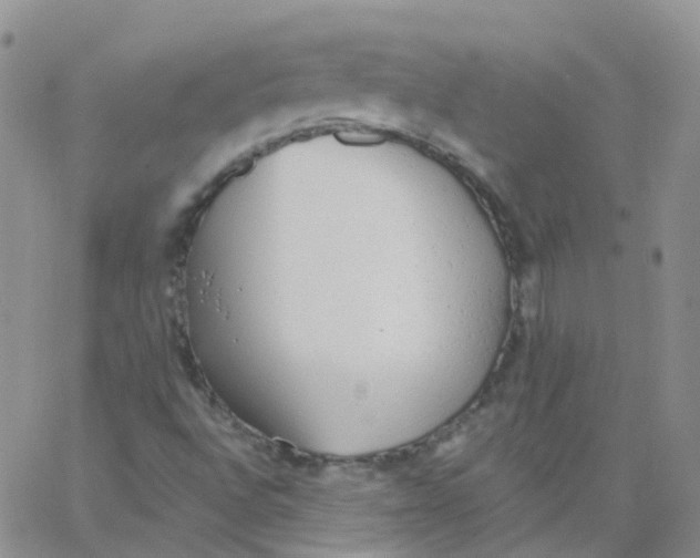 X0000062911496200602101819