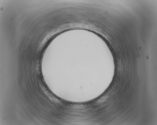 X0000062911499200602101819