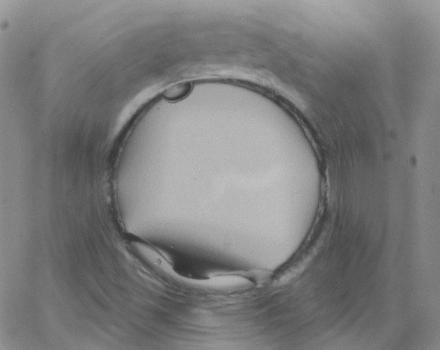 X0000062911501200602101819