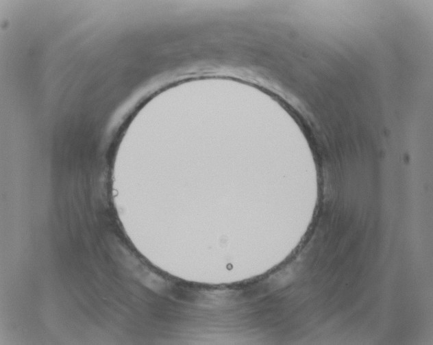 X0000062911502200602101819