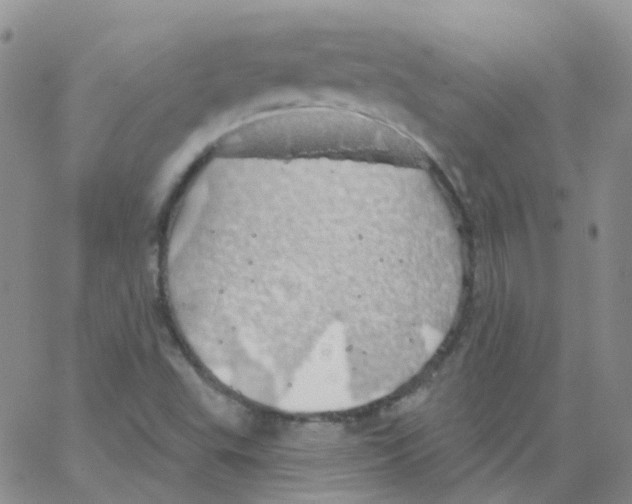 X0000062911503200602101819