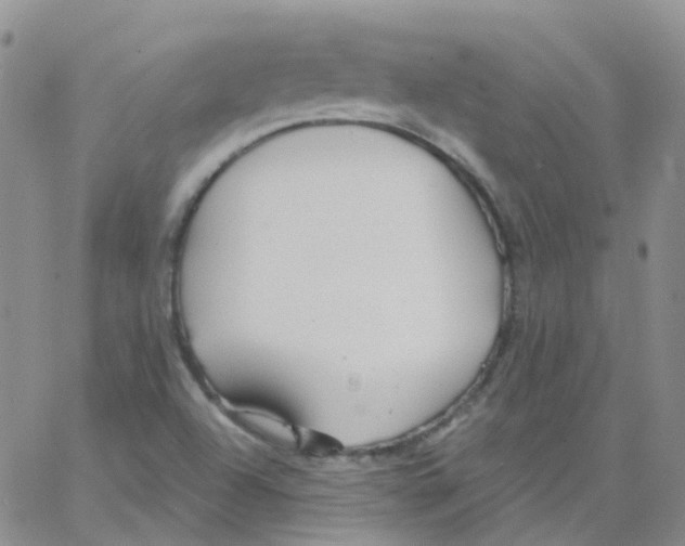 X0000062911504200602101819