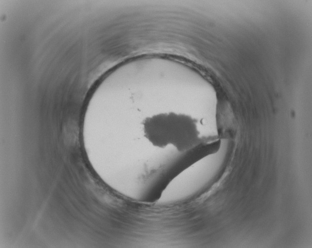 X0000062911505200602101819