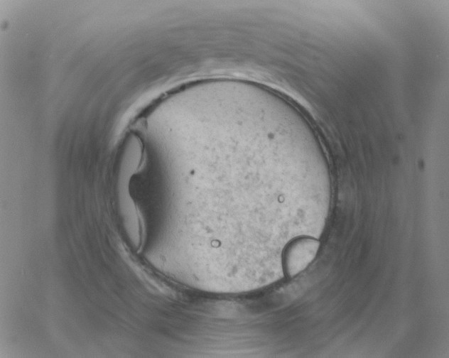 X0000062911507200602101819