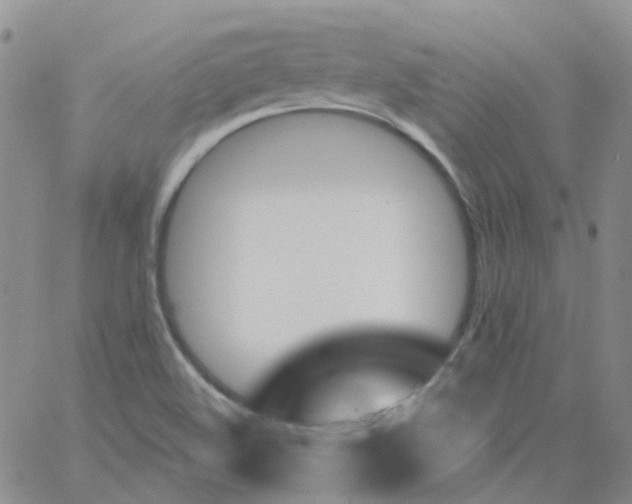 X0000062911508200602101819