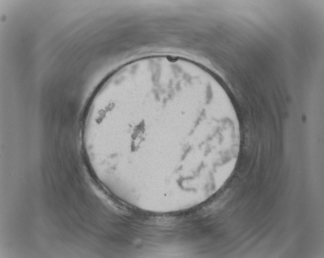 X0000062911511200602101819