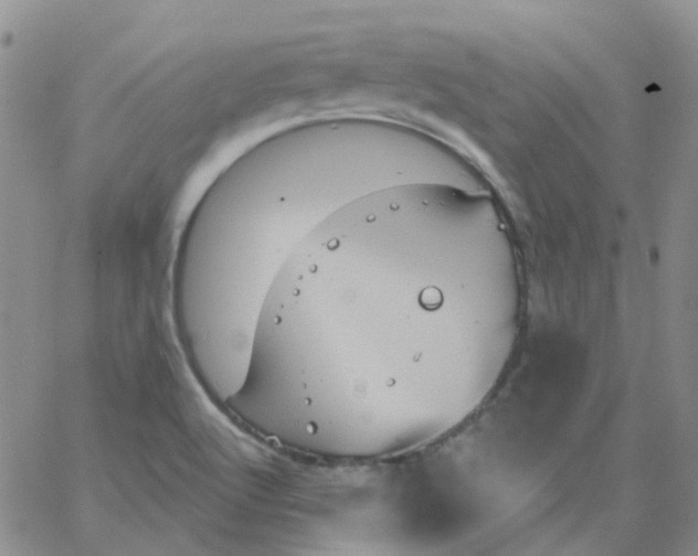 X0000062911512200602101819