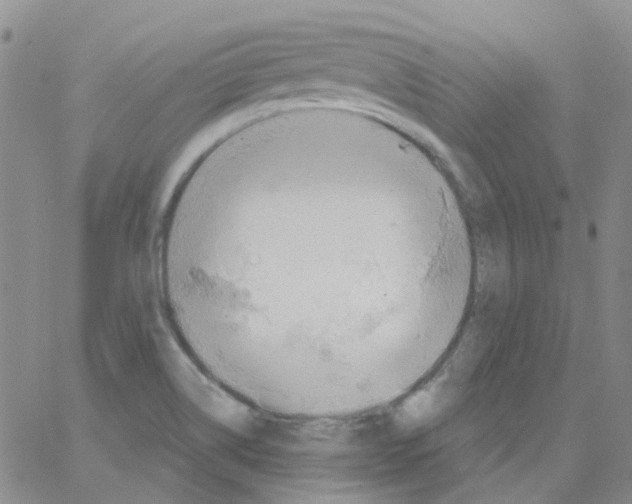 X0000062911514200602101819