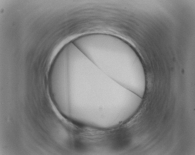 X0000062911515200602101819