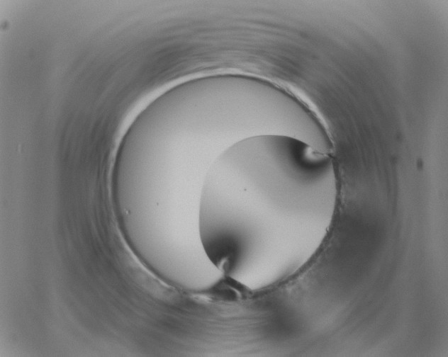 X0000062911516200602101819